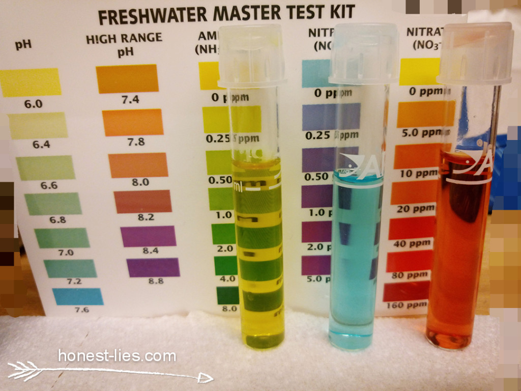 2016-03-01 12.09.11 1_mh1456791402973