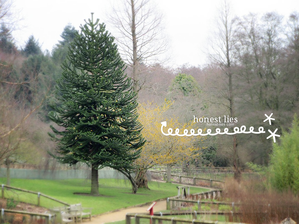 goldenacre_mh1456794300175